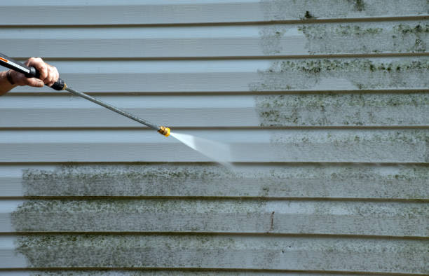 Boat and Dock Cleaning in Pigeon Forge, TN